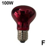 Terrarium Heat Lamp