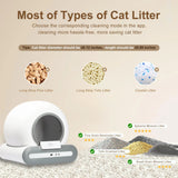 Self-Cleaning Litter Box
