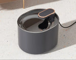 Cat Water Fountain