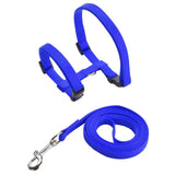Rabbit Harness and Leash