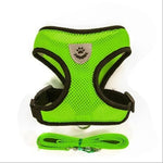 Cat Harness with Leash