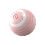 Interactive Cat Toy