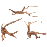 Natural Terrarium Roots