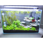 Terrarium LED Lighting