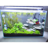 Terrarium LED Lighting