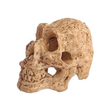 Skull Decoration for Terrariums