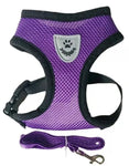 Cat Harness with Leash