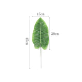 Jungle Foliage Terrarium