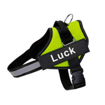 No-Pull Dog Harness