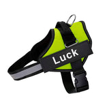 No-Pull Dog Harness