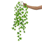 Hanging Fern for Reptiles