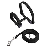 Rabbit Harness and Leash