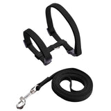 Rabbit Harness and Leash