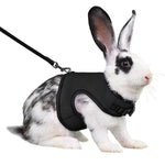 Rabbit Safety Harness