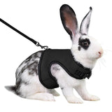 Rabbit Safety Harness