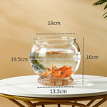 Small Volume Aquarium