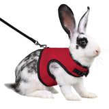Rabbit Safety Harness