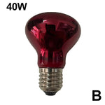 Terrarium Heat Lamp