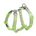Dog Car Safety Harness
