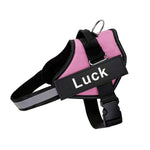 No-Pull Dog Harness