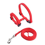 Rabbit Harness and Leash