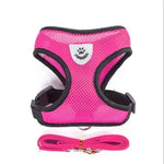 Cat Harness with Leash